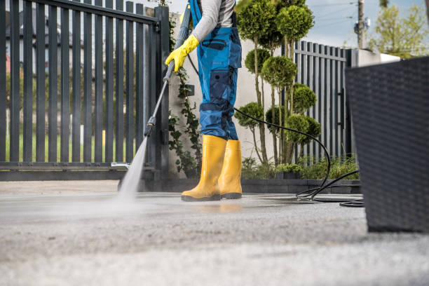Best Deck and Patio Pressure Washing in Chenoa, IL